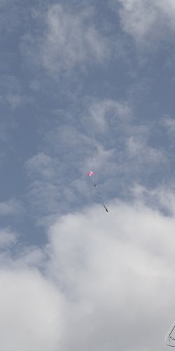 2013 Svojek Mirek Topinka